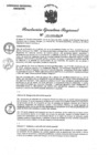 Vista preliminar de documento 0141-2024-GRA-GR