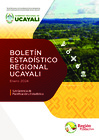 Vista preliminar de documento Boletin Estadistico Regional N° 03 - 2024