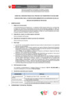 Vista preliminar de documento BASES CAS N° 054-2024-ANIN