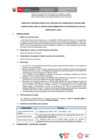 Vista preliminar de documento BASES CAS N° 056-2024-ANIN