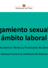 Vista preliminar de documento PPT_HS MIMP