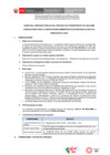 Vista preliminar de documento BASES CAS N° 061-2024-ANIN