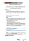 Vista preliminar de documento BASES CAS N° 063-2024-ANIN