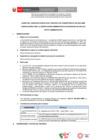 Vista preliminar de documento BASES CAS N° 064-2024-ANIN