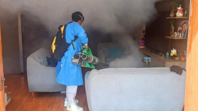 Más de 200 viviendas fueron nebulizadas para eliminar al zancudo del dengue en el distrito de Mala.