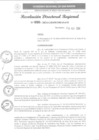 Vista preliminar de documento RDR N°080-2024