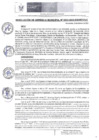Vista preliminar de documento RGM 043 2024