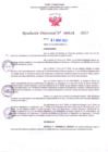 Vista preliminar de documento RD Nº000646 01-03-202306092023110638