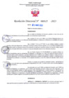 Vista preliminar de documento RD Nº000647 01-03-202306092023110710