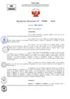 Vista preliminar de documento Resolucion Directoral N° 001313-2024
