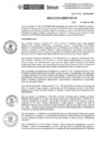 Vista preliminar de documento R.A.N.042-2024-INSN-OEA
