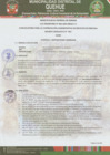 Vista preliminar de documento Bases de la Convocatoria CAS TRANSITORIO N° 02-2024