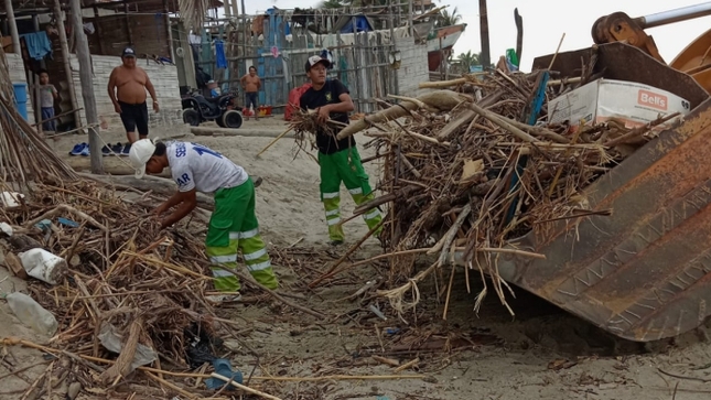 Foto Retirando la palizada en las playas de Cancas