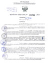 Vista preliminar de documento Resolución Directoral. N° 0762 - 2024 