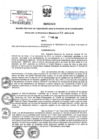 Vista preliminar de documento ResPE382020