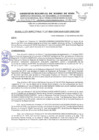 Vista preliminar de documento REG-167-2020-GOREMAD GRDE-DIREPRO