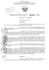 Vista preliminar de documento Resolución Directoral. N° 0795 - 2024 