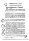 Vista preliminar de documento RGR0071-2024-GRI