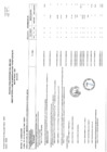 Vista preliminar de documento ANEXO 1 FORMALIZACION MARZO