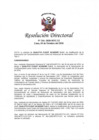 Vista preliminar de documento RD N° 0316-2020-MTC/12