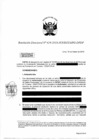 Vista preliminar de documento RD-619-2019-DPDP