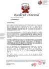 Vista preliminar de documento RD N° 0726-2024-MTC/12