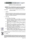 Vista preliminar de documento Lineamiento de la DCMA