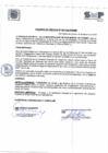 Vista preliminar de documento A.C. N°004-2024-MDSMP
