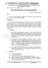 Vista preliminar de documento RESOLUCIÓN DIRECTORAL N° 0101-2024-DIGAUNHEVAL