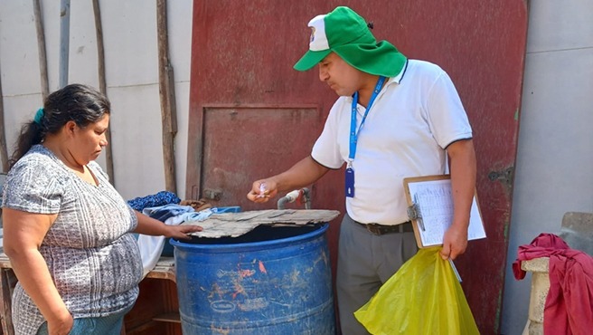 Minsa elimina huevos, larvas y pupas del zancudo que transmite el dengue en más de 19 000 viviendas de Áncash