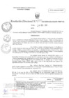Vista preliminar de documento RD N°0035