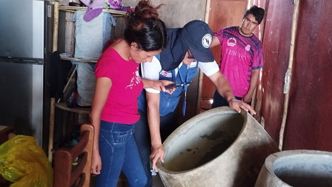 Minsa elimina huevos, larvas y pupas del zancudo que transmite el dengue en más de 19 000 viviendas de Áncash
