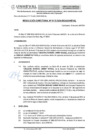 Vista preliminar de documento RESOLUCIÓN DIRECTORAL N° 0115-2024-DIGAUNHEVAL