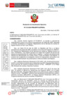 Vista preliminar de documento Resolucion de Coordinacion Ejecutiva N° 012-2024 -PMSJMPP-EJEPENAL