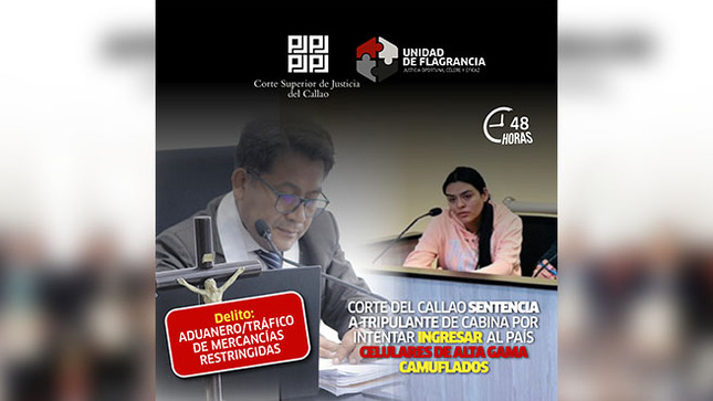 Callao: Juzgado de Flagrancia sentencia a tripulante de cabina que intentó ingresar 12 celulares  al Perú adheridas a su cuerpo