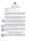 Vista preliminar de documento Ord. 544