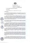 Vista preliminar de documento Ordenanza 542