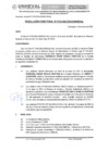 Vista preliminar de documento RESOLUCIÓN DIRECTORAL N° 0133-2024-DIGAUNHEVAL