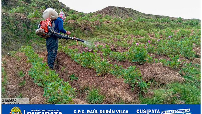 desarrollo productivo