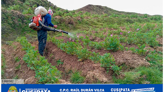 desarrollo productivo