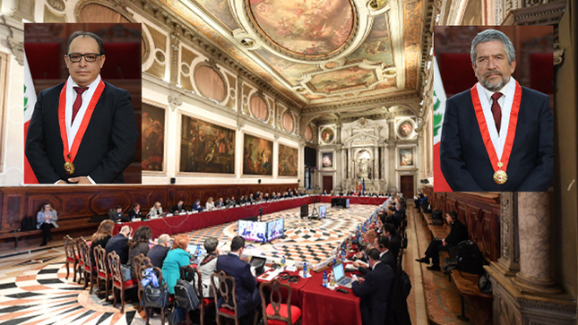  El Tribunal Constitucional participó del 138º plenario de la Comisión de Venecia