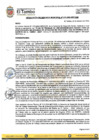 Vista preliminar de documento RGM 073-2024