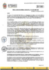 Vista preliminar de documento RGM 103-2024