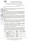 Vista preliminar de documento RA_599_2023_MDI