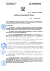 Vista preliminar de documento Resolución Directoral N074-2024-DRSL-RL-HH-SBS