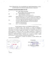 Vista preliminar de documento INFORME N° 054-2024-DPYMB-ABAST-OGA-MPC
