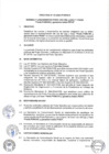 Vista preliminar de documento DIRECTIVA PONLE PUNCHE