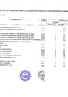 Vista preliminar de documento Anexo N°06 Aprobación de Modificaciones al Cuadro Multianual de Necesidades N°0000008