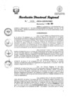Vista preliminar de documento RDR Nº 0838-2024-GRSM-DRE