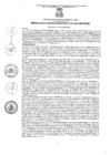 Vista preliminar de documento rgm04172022gmampmn